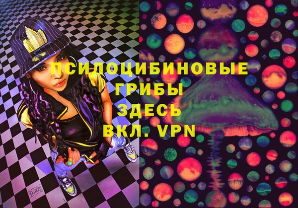 гашик Медногорск