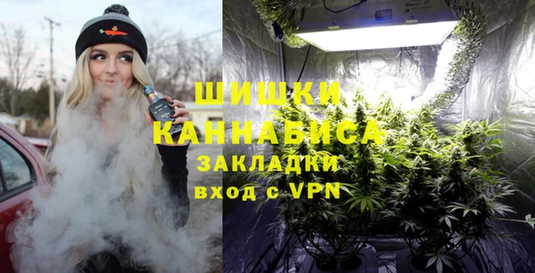 шишки Мегион