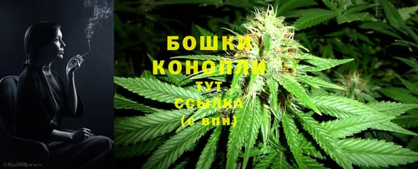 шишки Мегион