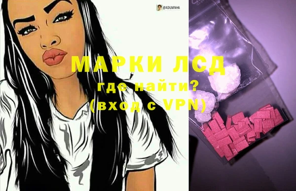 шишки Мегион