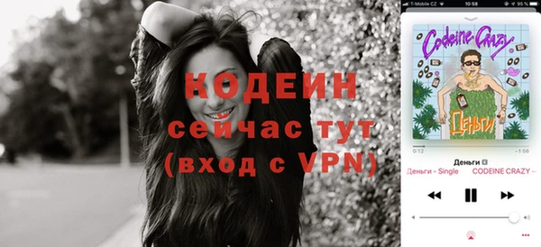 шишки Мегион