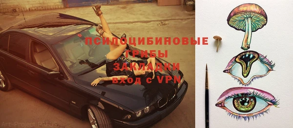 шишки Мегион