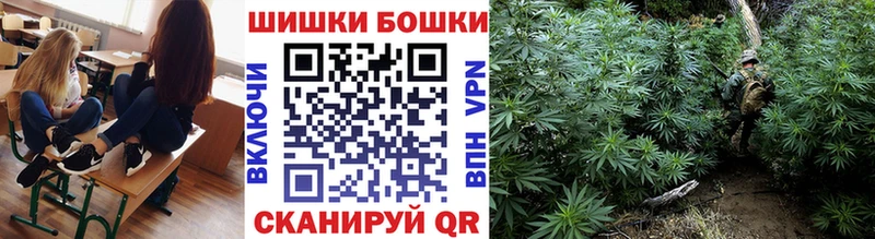 Каннабис план  Северская 